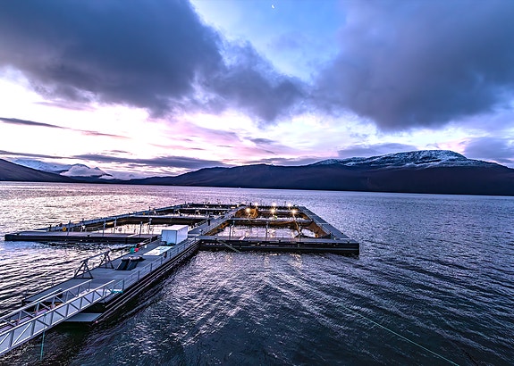 Bilde 2 av 5 i jobbannonse-galleriet