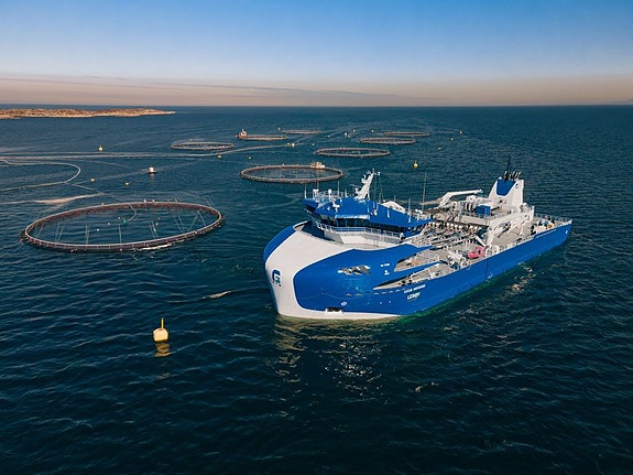 Bilde 1 av 1 i jobbannonse-galleriet