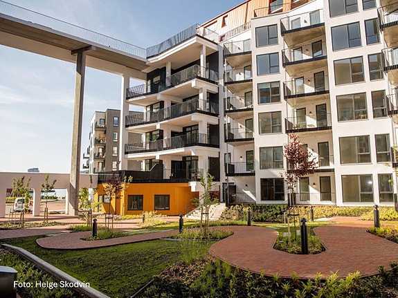 Bilde 3 av 4 i jobbannonse-galleriet