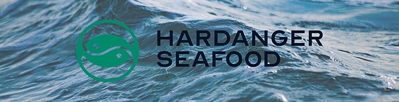 Bilde 1 av 4 i jobbannonse-galleriet