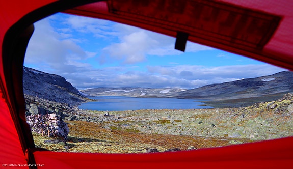 Teltutsikt i Reinheimen