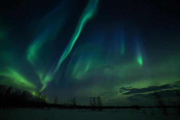 Bilde 3 av 3 i jobbannonse-galleriet