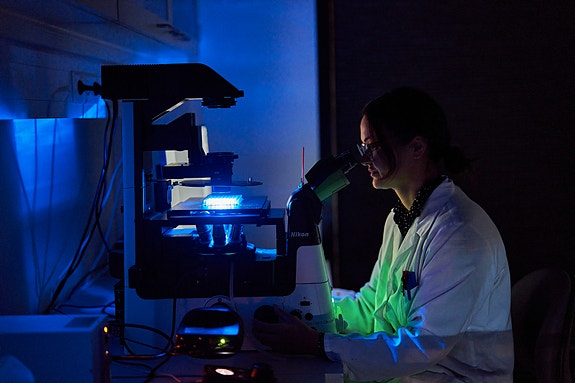 Bilde 2 av 3 i jobbannonse-galleriet