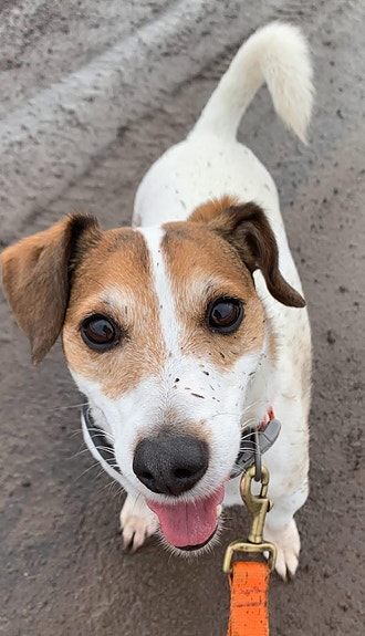 Bilde 2 av 4 i jobbannonse-galleriet