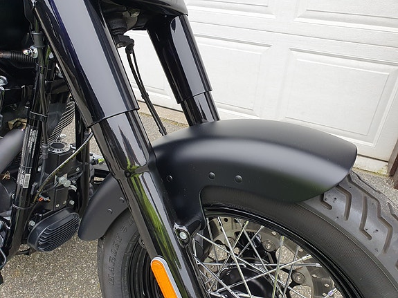 Harley-Davidson FLSS Softail Slim S 24 of 30