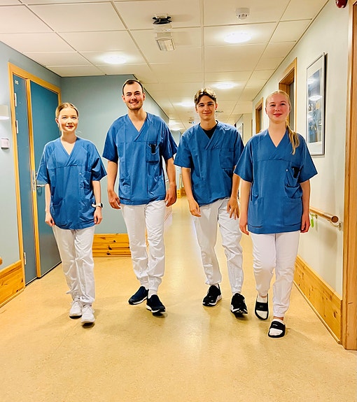 Bilde 1 av 1 i jobbannonse-galleriet