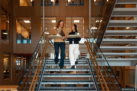 Bilde 2 av 2 i jobbannonse-galleriet