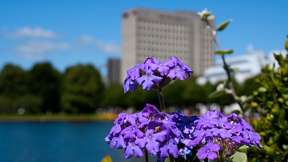 Bilde 3 av 10 i jobbannonse-galleriet