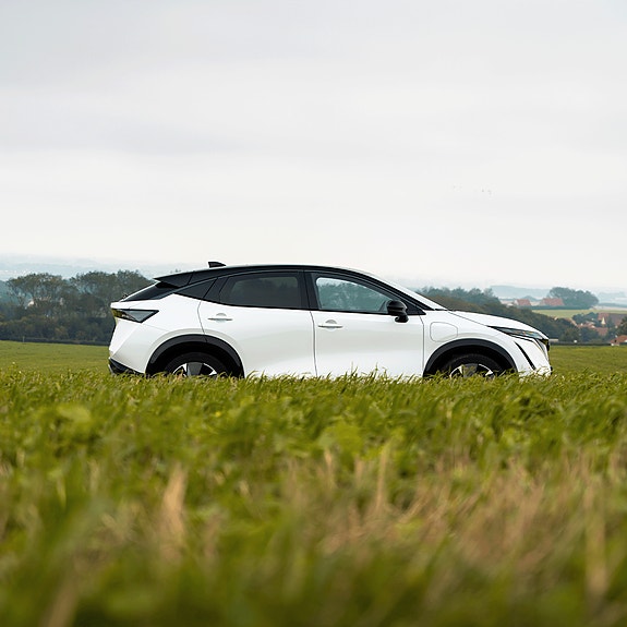 Bilde 2 av 10 i jobbannonse-galleriet