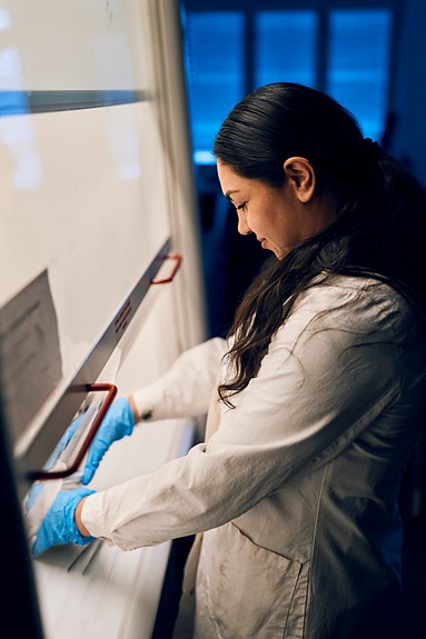 Bilde 3 av 5 i jobbannonse-galleriet