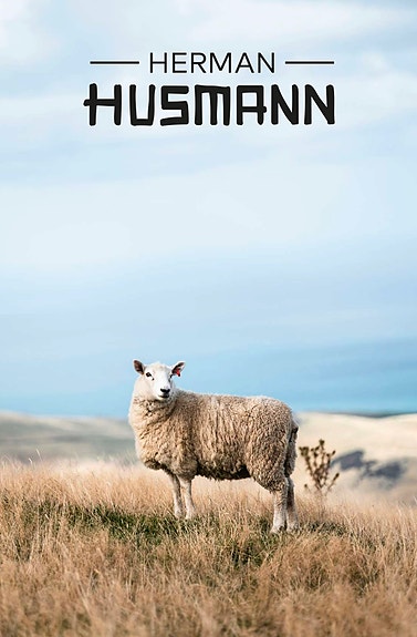 Bilde 1 av 7 i jobbannonse-galleriet