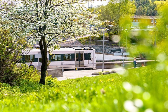 Bilde 1 av 2 i jobbannonse-galleriet