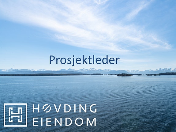 Bilde 1 av 6 i jobbannonse-galleriet