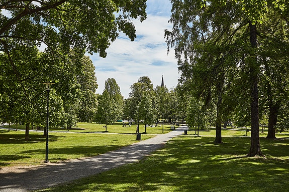 Bilde 2 av 7 i jobbannonse-galleriet