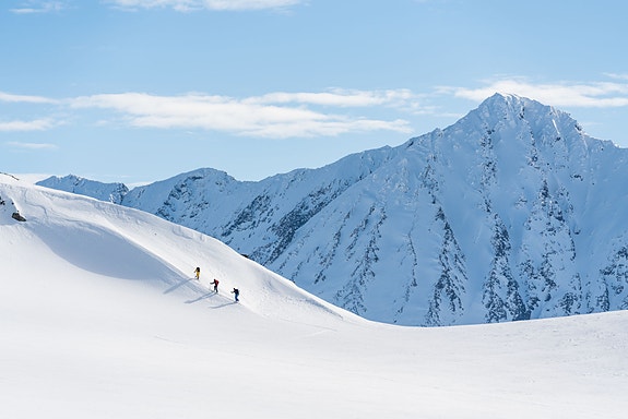 Bilde 1 av 1 i jobbannonse-galleriet