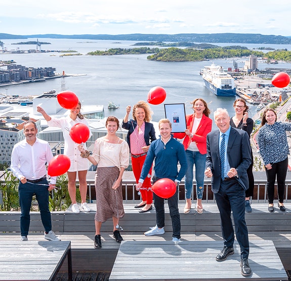 Bilde 1 av 1 i jobbannonse-galleriet