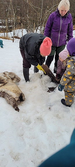 Bilde 2 av 5 i jobbannonse-galleriet