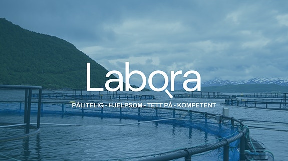 Bilde 4 av 6 i jobbannonse-galleriet