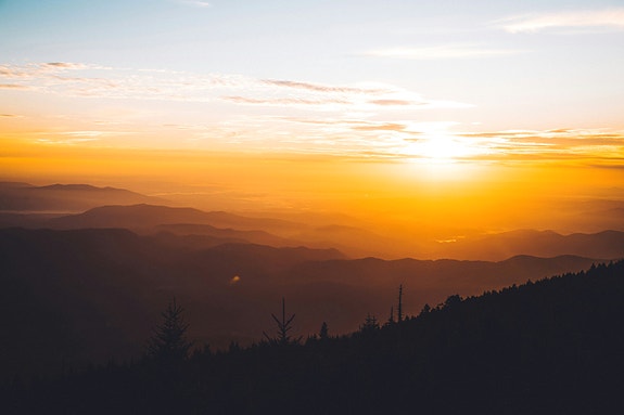 Bilde 1 av 1 i jobbannonse-galleriet