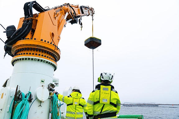 Bilde 1 av 1 i jobbannonse-galleriet