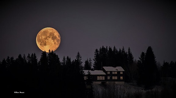 Bilde 1 av 4 i jobbannonse-galleriet