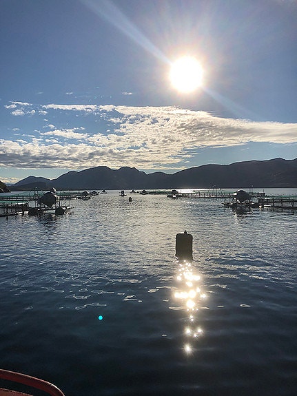 Bilde 4 av 6 i jobbannonse-galleriet