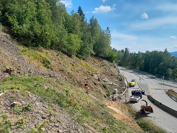 Bilde 6 av 6 i jobbannonse-galleriet