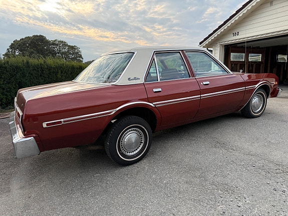 Dodge Andre 7 of 30