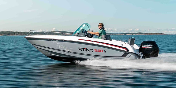 Sting 530 S m/Mercury 80 HK 5 of 5