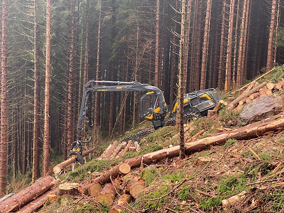 Bilde 6 av 6 i jobbannonse-galleriet