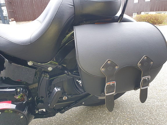 Harley-Davidson FLSS Softail Slim S 11 of 30