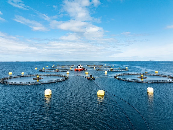 Bilde 3 av 3 i jobbannonse-galleriet