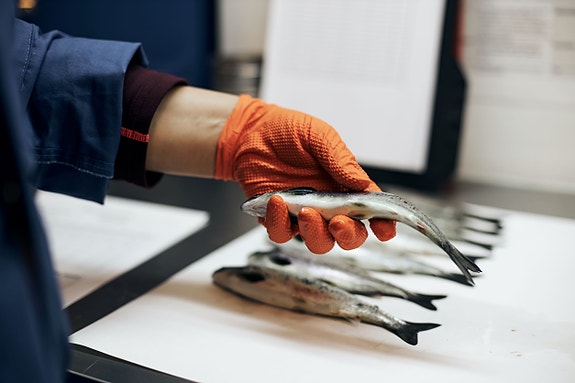 Bilde 4 av 4 i jobbannonse-galleriet