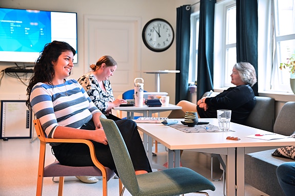 Bilde 7 av 10 i jobbannonse-galleriet