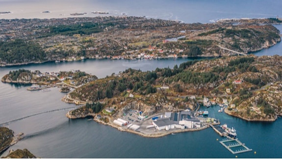 Bilde 4 av 5 i jobbannonse-galleriet