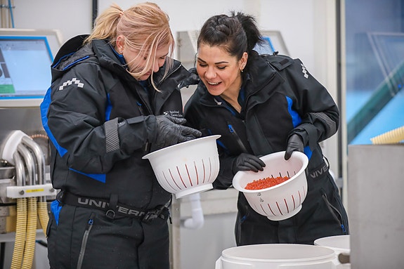 Bilde 1 av 4 i jobbannonse-galleriet