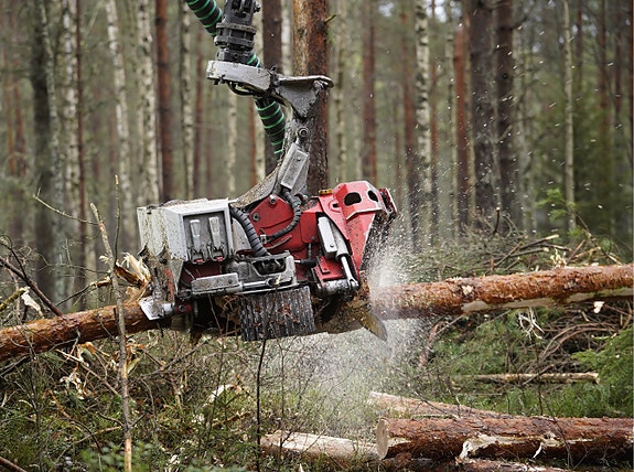 Bilde 2 av 3 i jobbannonse-galleriet