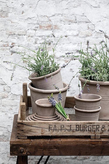 Bilde 8 av 14 i jobbannonse-galleriet