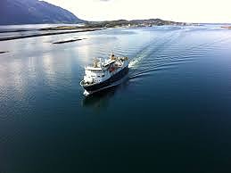 Bilde 7 av 10 i jobbannonse-galleriet