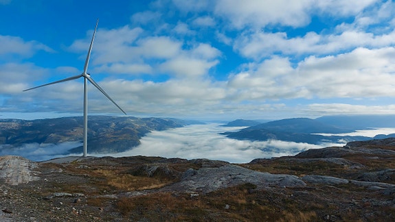 Bilde 1 av 1 i jobbannonse-galleriet