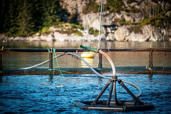 Bilde 2 av 5 i jobbannonse-galleriet