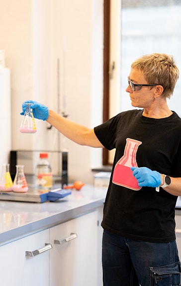 Bilde 5 av 10 i jobbannonse-galleriet