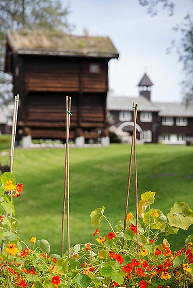 Sommer på toppen av Oslo