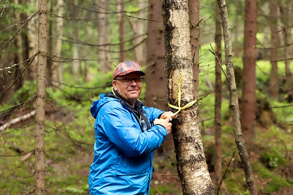 Bilde 2 av 3 i jobbannonse-galleriet