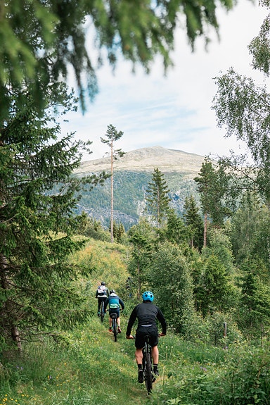 Bilde 2 av 5 i jobbannonse-galleriet