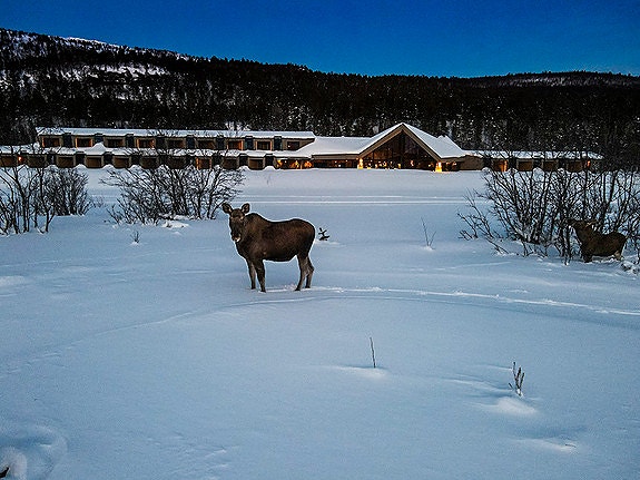 Bilde 7 av 7 i jobbannonse-galleriet