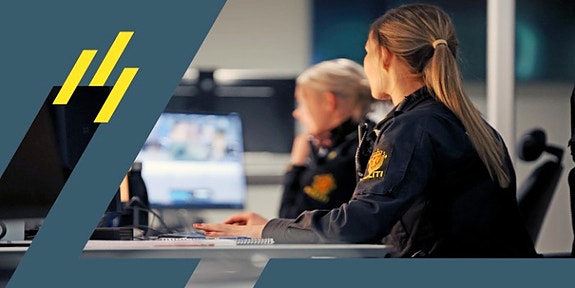 Politiets IT-enhet logo