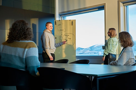 Bilde 1 av 1 i jobbannonse-galleriet