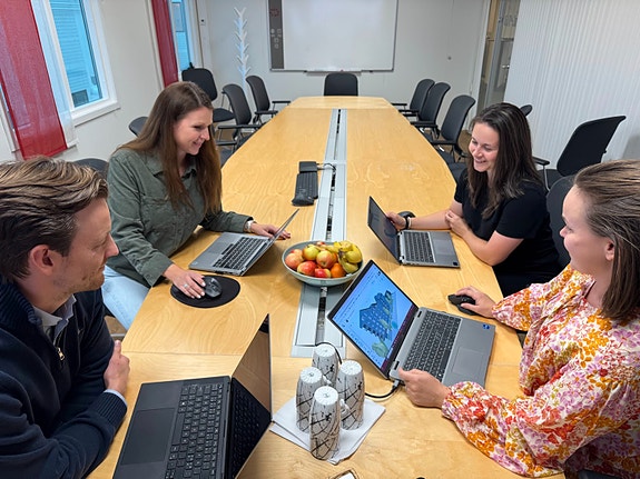 Bilde 2 av 4 i jobbannonse-galleriet