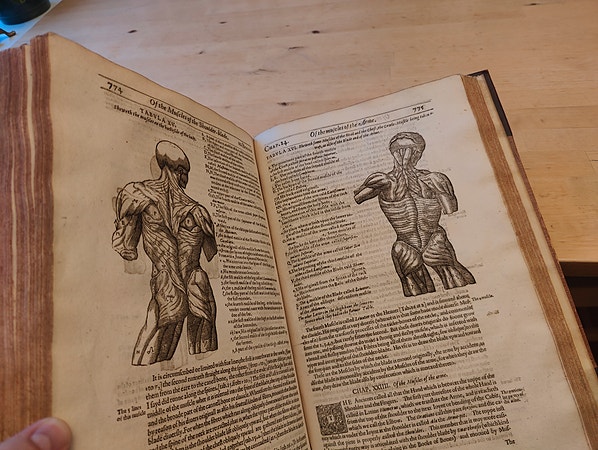 Microcosmographia (1616) Description of the Body of Man